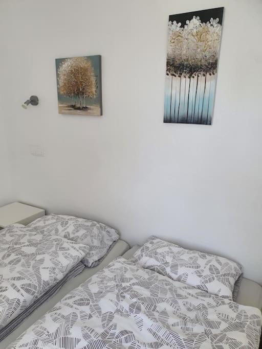 Appartement El Palmar *